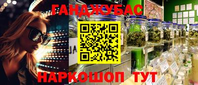 индика Лесосибирск