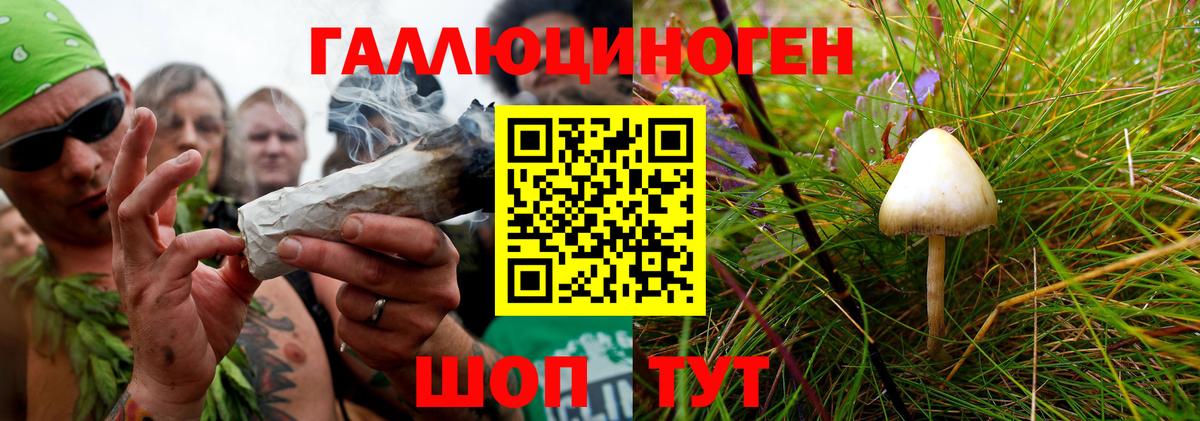 Галлюциногенные грибы прущие грибы  Вход с VPN  Анжеро-Судженск 